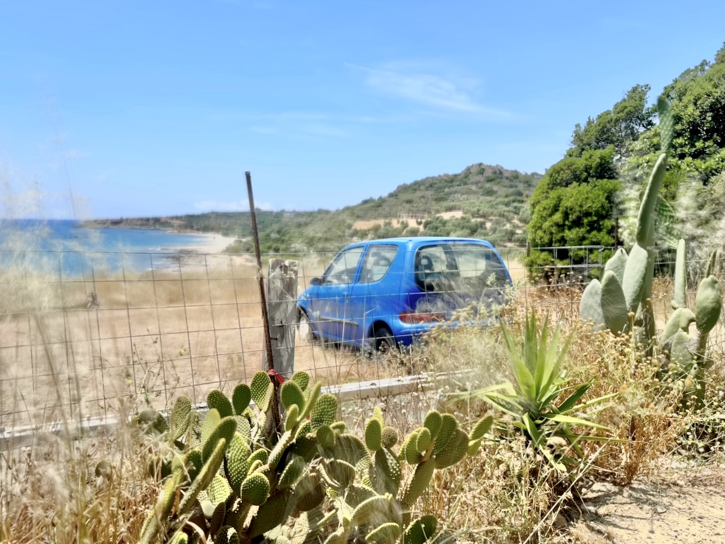 Blauwe auto bij een ruige Kretenzische kust, cactus in de voorgrond — drempelbeeld
